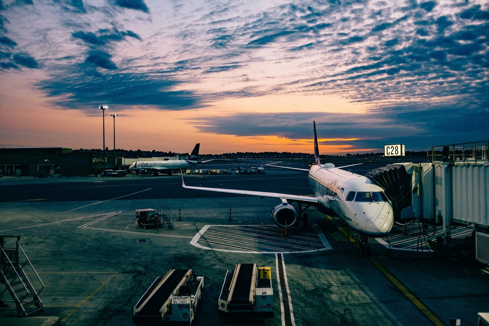 airplane plant powered fuels