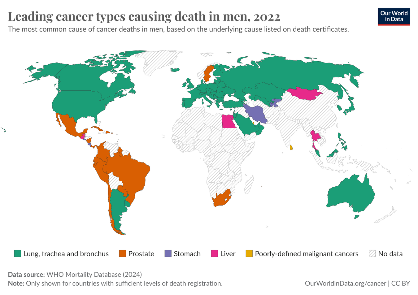 leading cancer types 2022