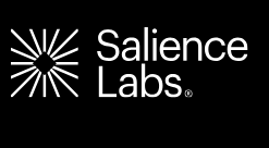 Salience labs photonic switches